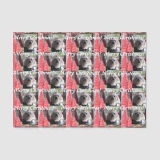 Papier Mousseline Noël maltais avec Arbres rouges