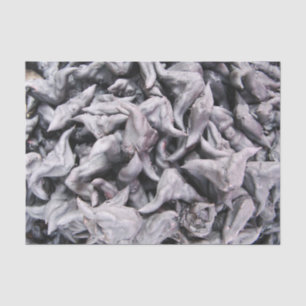 Papier Mousseline Noix de buffle - Water Caltrop