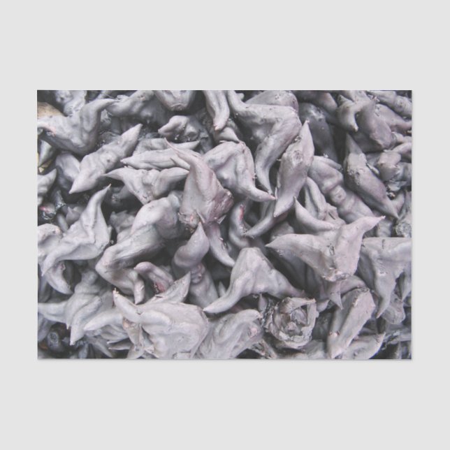 Papier Mousseline Noix de buffle - Water Caltrop (Recto)