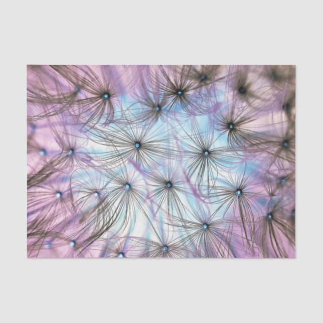 Papier Mousseline Nuage de duvet de pissenlit (Recto)