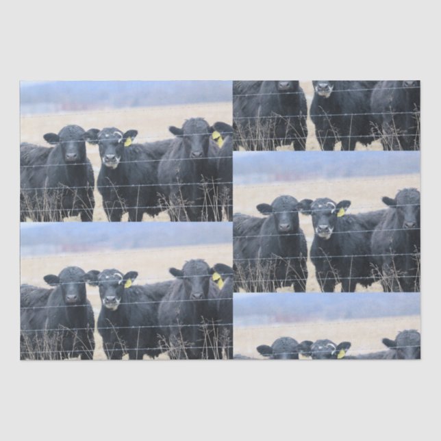 Papier Mousseline Observateurs de Bovine (Recto)