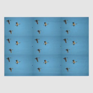 Papier Mousseline Oie canadienne en vol