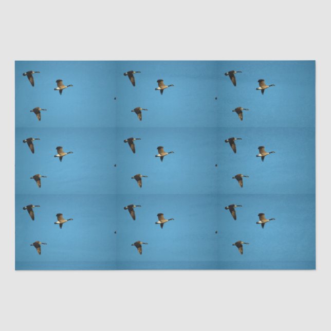Papier Mousseline Oie canadienne en vol (Recto)