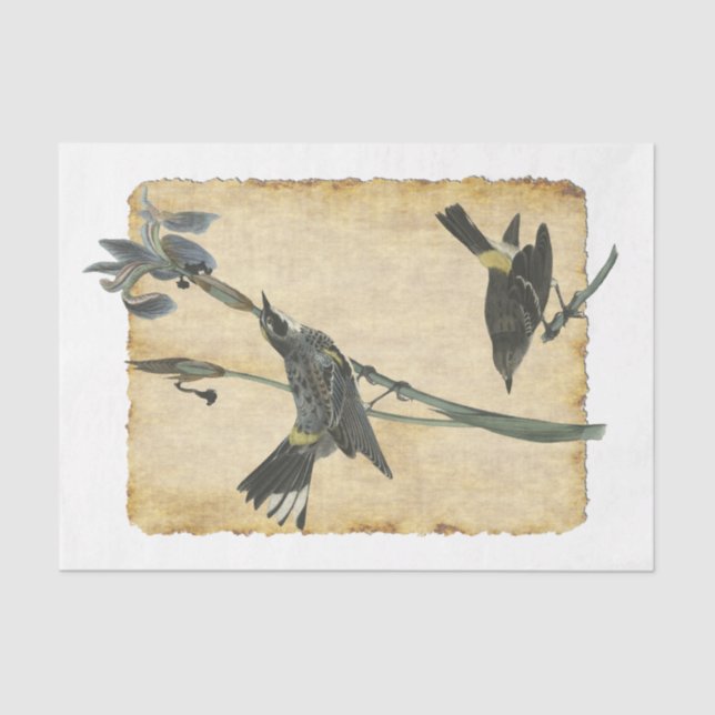 Papier Mousseline Oiseau 32 Papier Tissu De Découpage (Recto)