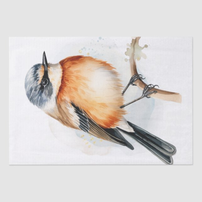 Papier Mousseline Oiseau africain de Stonechat (Recto)