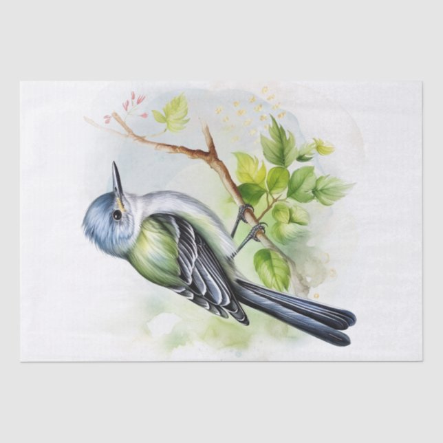 Papier Mousseline Oiseau moucheron acadien (Recto)