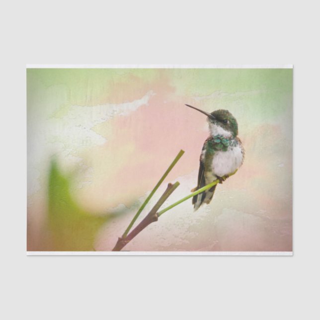 Papier Mousseline Oiseau sur un Twig & Pastel Aquarelle (Recto)