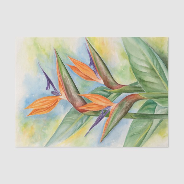 Papier Mousseline Oiseaux De Découpage Floraux Du Paradis Aquarelle (Recto)