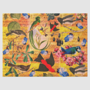 Papier Mousseline OISEAUX DE PRINTEMPS, PÊCHEURS, FRUITS Notes music