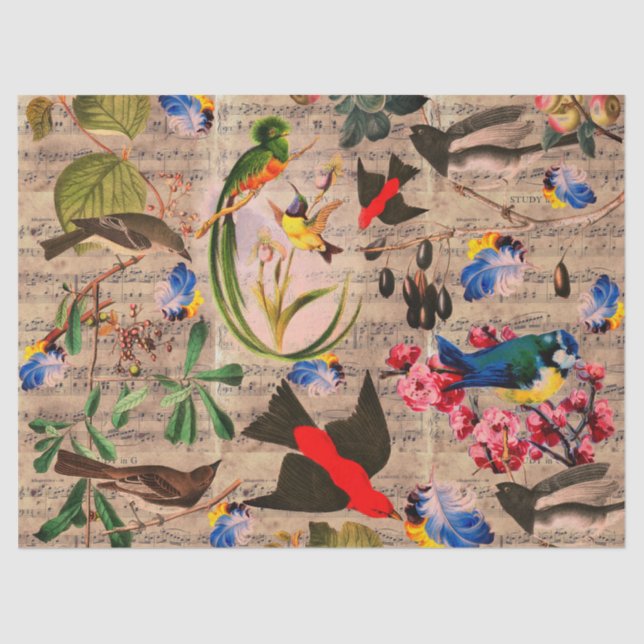 Papier Mousseline OISEAUX DE PRINTEMPS, PÊCHEURS, FRUITS Notes music (Recto)
