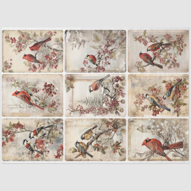 Papier Mousseline Oiseaux d'hiver neuf (Recto)