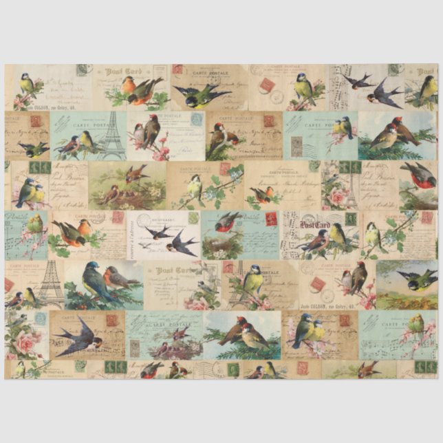 Papier Mousseline Oiseaux et cartes postales Collage Ephemera Papier (Recto)