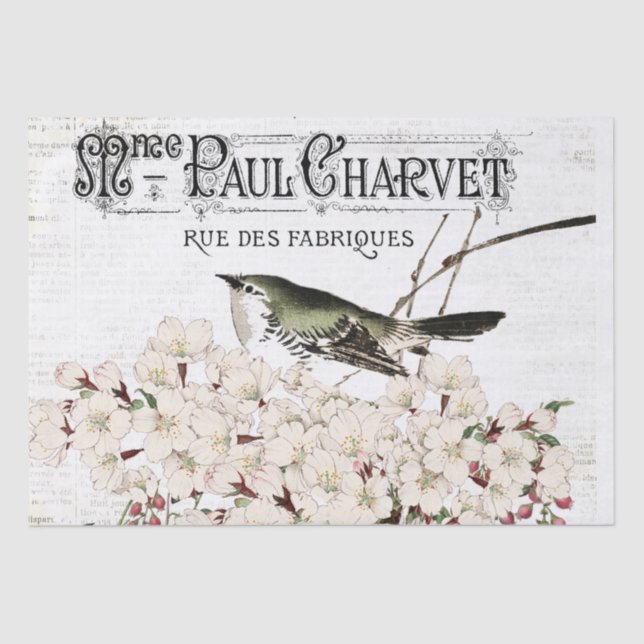 Papier Mousseline Oiseaux et Magnolia papier de tissus (Recto)