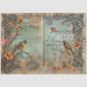 Papier Mousseline Oiseaux et oeufs du Journal des malédictions