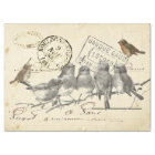 Oiseaux sur une succursale French Postmark Collage