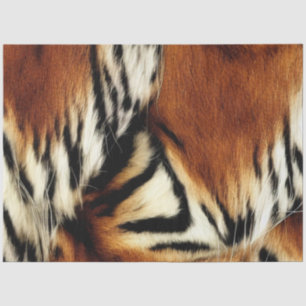 Papier Mousseline Orange sauvage et bandes blanches de tigres
