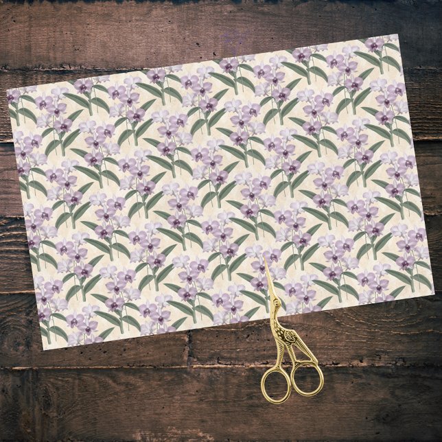 Papier Mousseline Orchidées blanches violettes délicates sur crème V (Créateur téléchargé)
