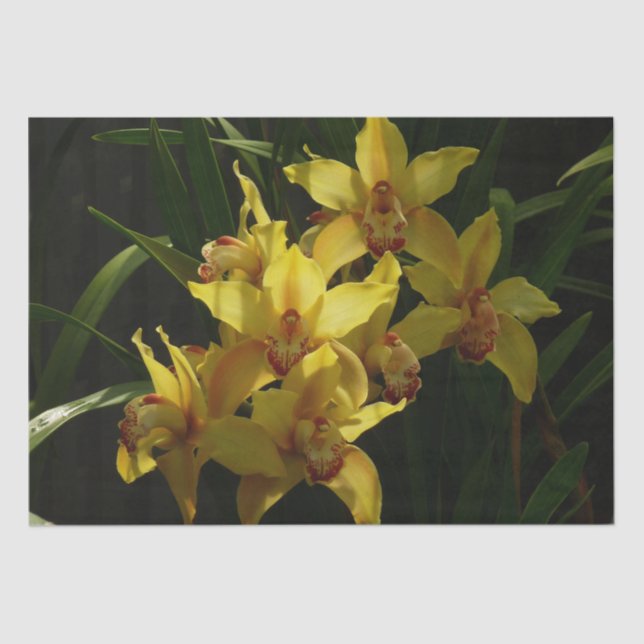 Papier Mousseline Orchidées Jaunes Sunlit Floral (Recto)