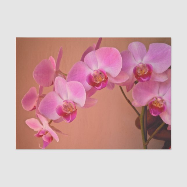 Papier Mousseline Orchidées roses (Recto)