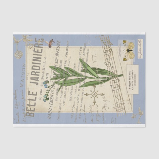 Papier Mousseline Oubliez-moi-non avec l'abeille de miel encadrée po (Recto)