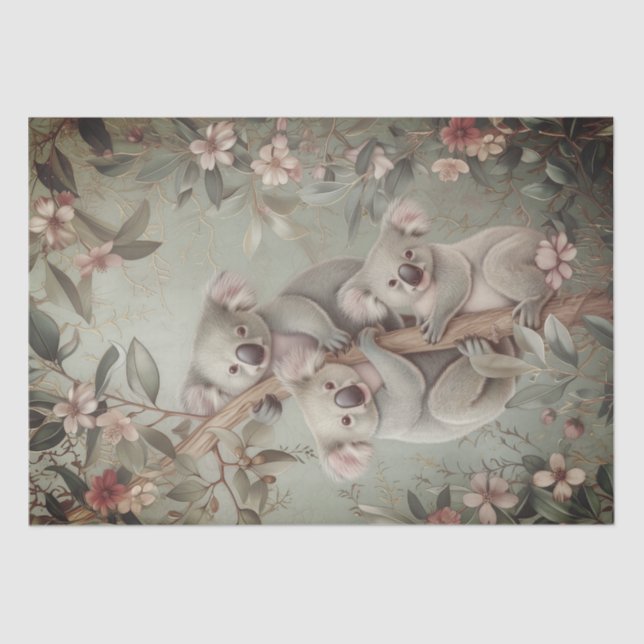 Papier Mousseline Ours australien Eucalyptus Koala (Recto)