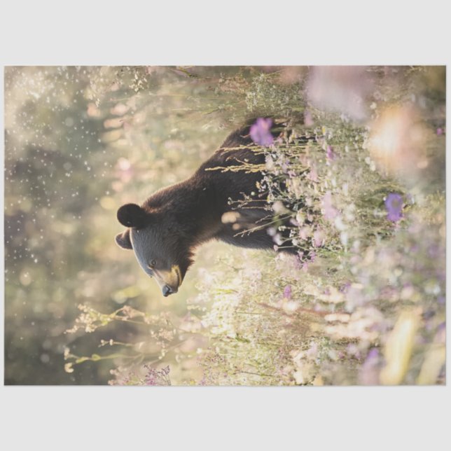 Papier Mousseline Ours de découpage en champ de Fleurs sauvages (Recto)