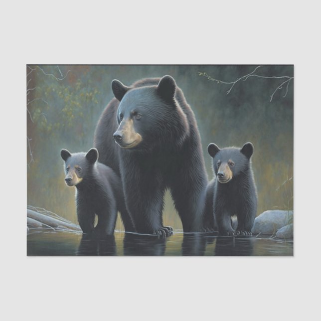 Papier Mousseline Ours noir et petits (Recto)