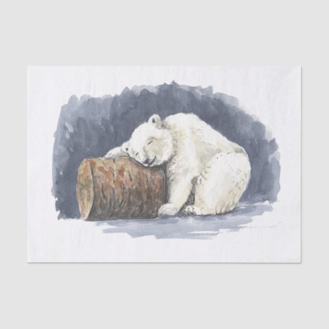 Papier Mousseline Ours polaire dormant, aquarelle (Recto)