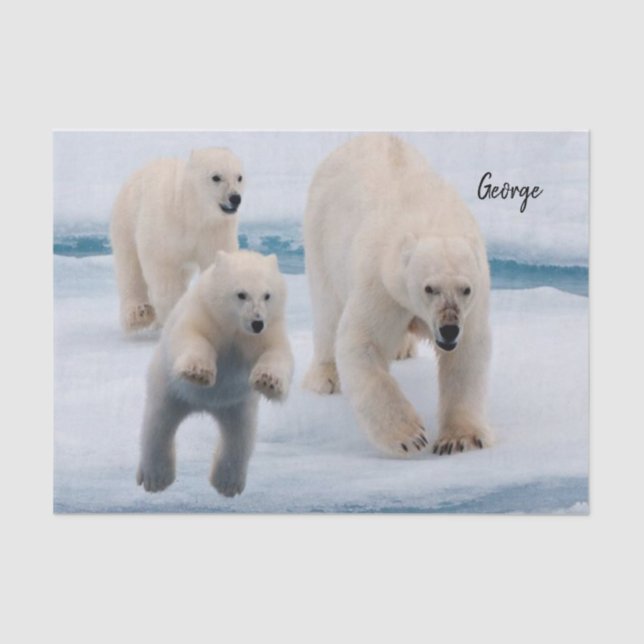 Papier Mousseline Ours polaire en papier de tissus (Recto)