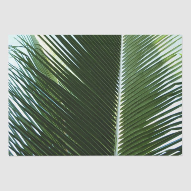 Papier Mousseline Overlapping Palm Fronds Tropical Green Abstract (Recto)