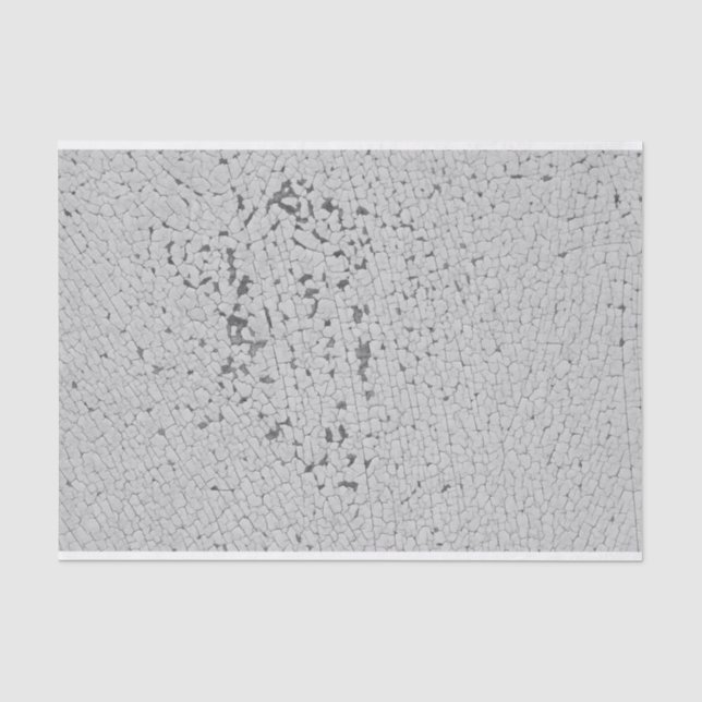 Papier Mousseline Paillettes de peinture gris clair do-it-yourself D (Recto)