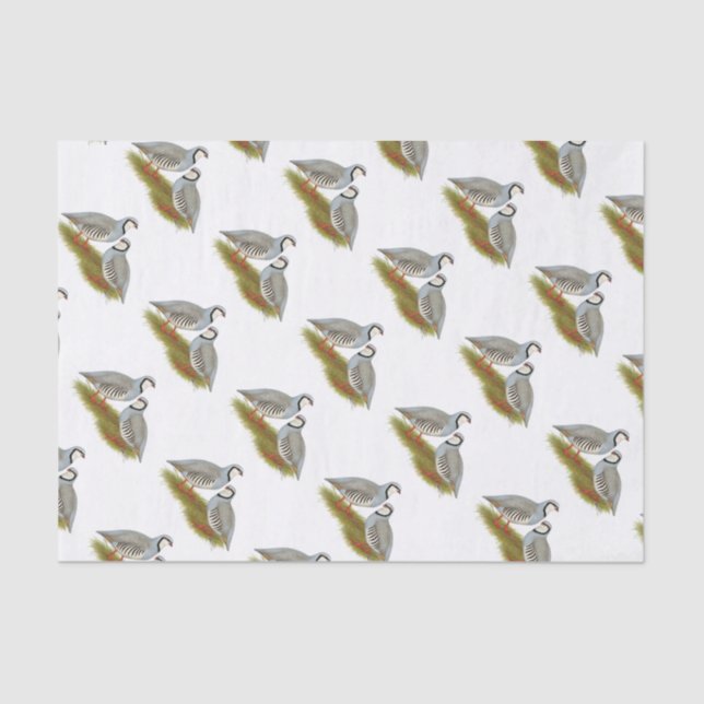 Papier Mousseline Paire de perdrix de Chukar (Recto)
