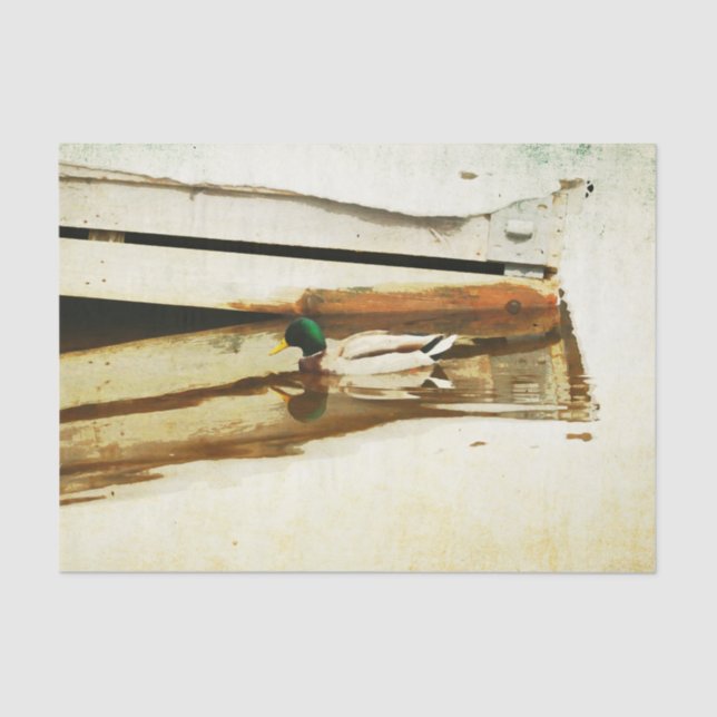 Papier Mousseline Papier à papier pour canard (Recto)