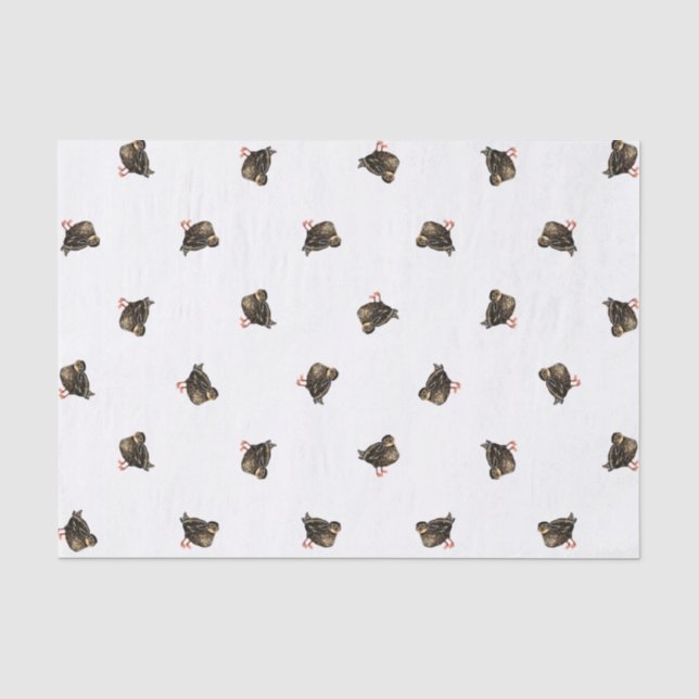 Papier Mousseline Papier à papier pour canard (Recto)