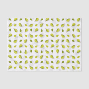 Papier Mousseline Papier à pression