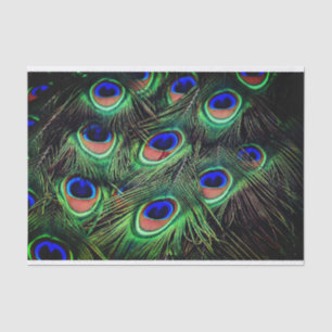 Papier Mousseline Papier cadeau Peacock Feather Tissu