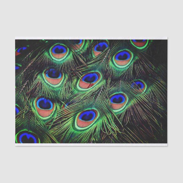 Papier Mousseline Papier cadeau Peacock Feather Tissu (Recto)