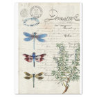 Papier de découpage de meubles Ephemera de libellu