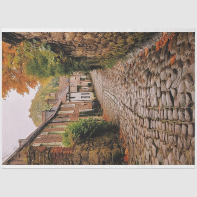 Papier Mousseline Papier de découpage, Enveloppement, - Élégance éph (Recto)