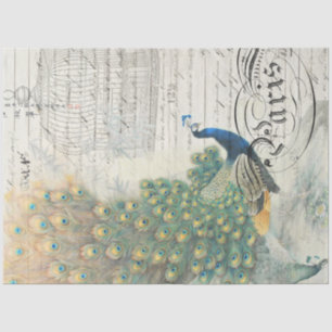Papier Mousseline Papier de découpage Ephemera Peacock