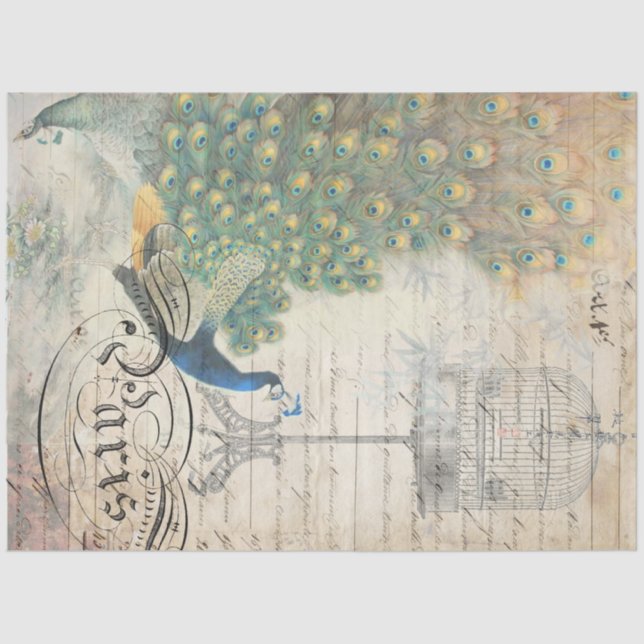Papier Mousseline Papier de découpage Ephemera Peacock gauche (Recto)