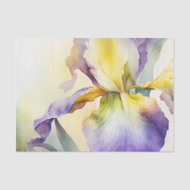 Papier Mousseline Papier de découpage IRIS (Recto)