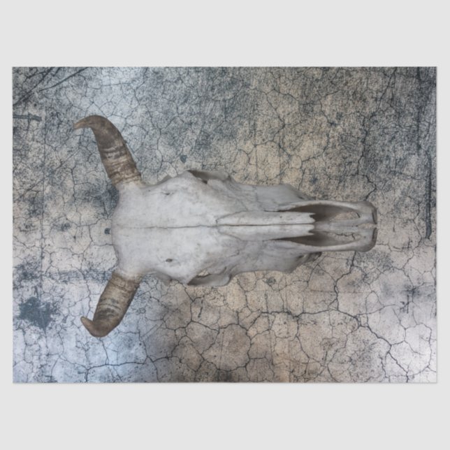 Papier Mousseline Papier de fond de découpage du crâne de vache occi (Recto)