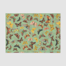 Papier de papier de papier de papillons