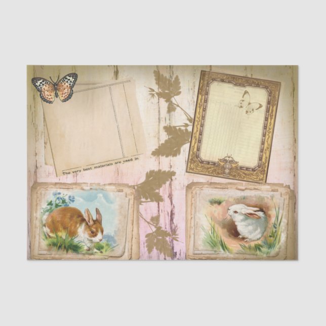 Papier Mousseline Papier de papier de tissus de lapins à roue libre (Recto)