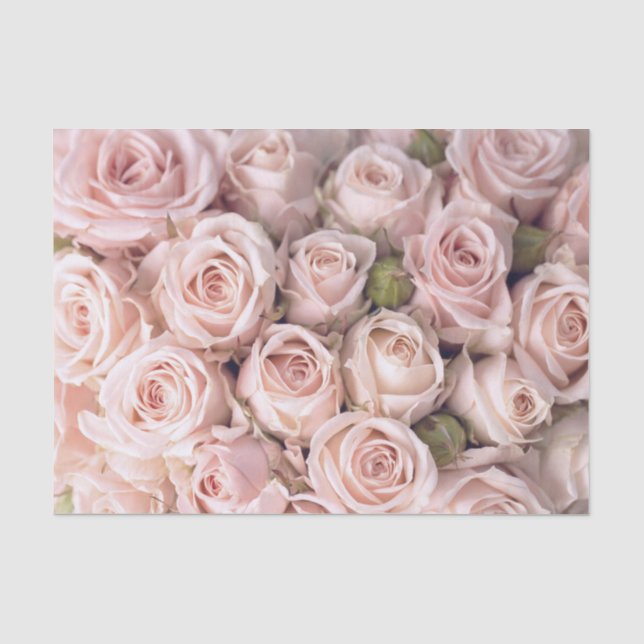 Papier Mousseline Papier de papier de tissus Roses Roses Rose (Recto)
