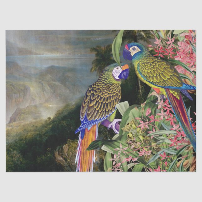 Papier Mousseline Papier de tissu animal de forêt tropicale d'oiseau (Recto)