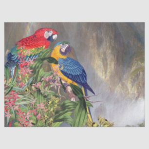 Papier Mousseline Papier de tissu animal de forêt tropicale d'oiseau