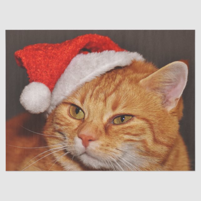 Papier Mousseline Papier de tissu de chat Noël (Recto)