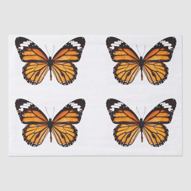 PAPIER MOUSSELINE PAPIER DE TISSU DE DÉCOUPAGE : MONARCH BUTTERFLY (Recto)